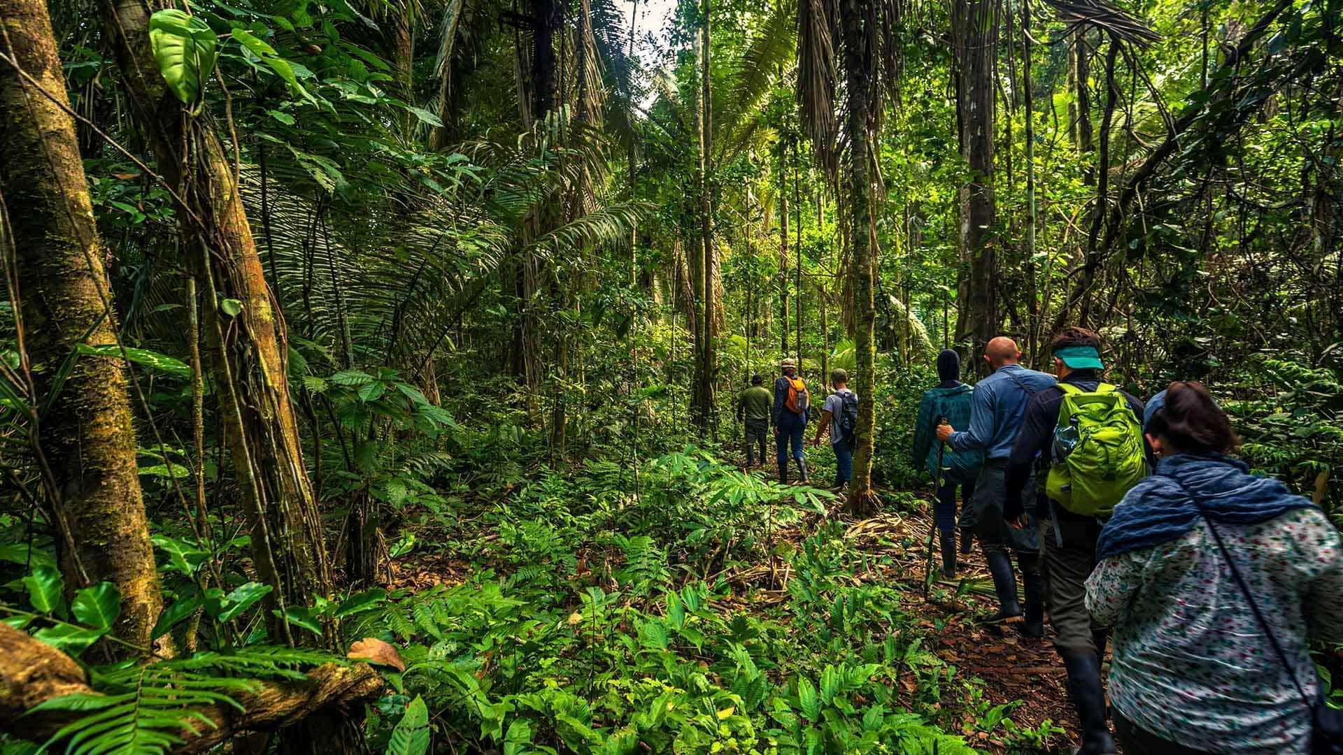 Río y selva amazónica peruana