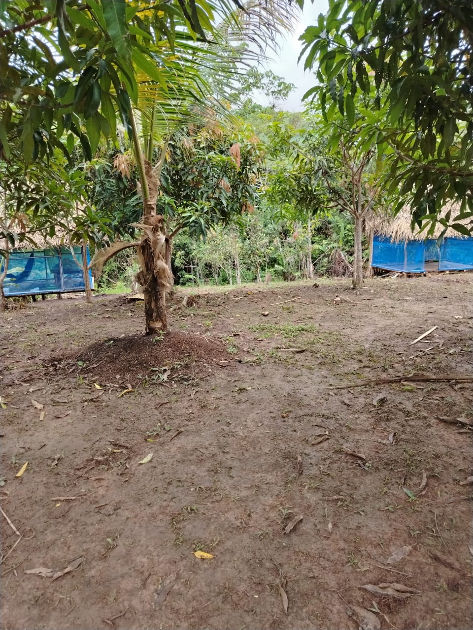 Amazonía peruana y albergue
